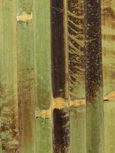 bambusest põrandaliist